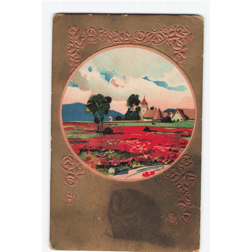 Antique 1909 Embossed Postcard European Village Flower Field Buford Ohio Stamp